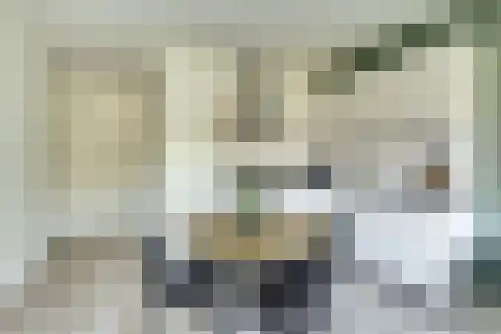 Boeierstraat 111 Purmerend thumbnail 8