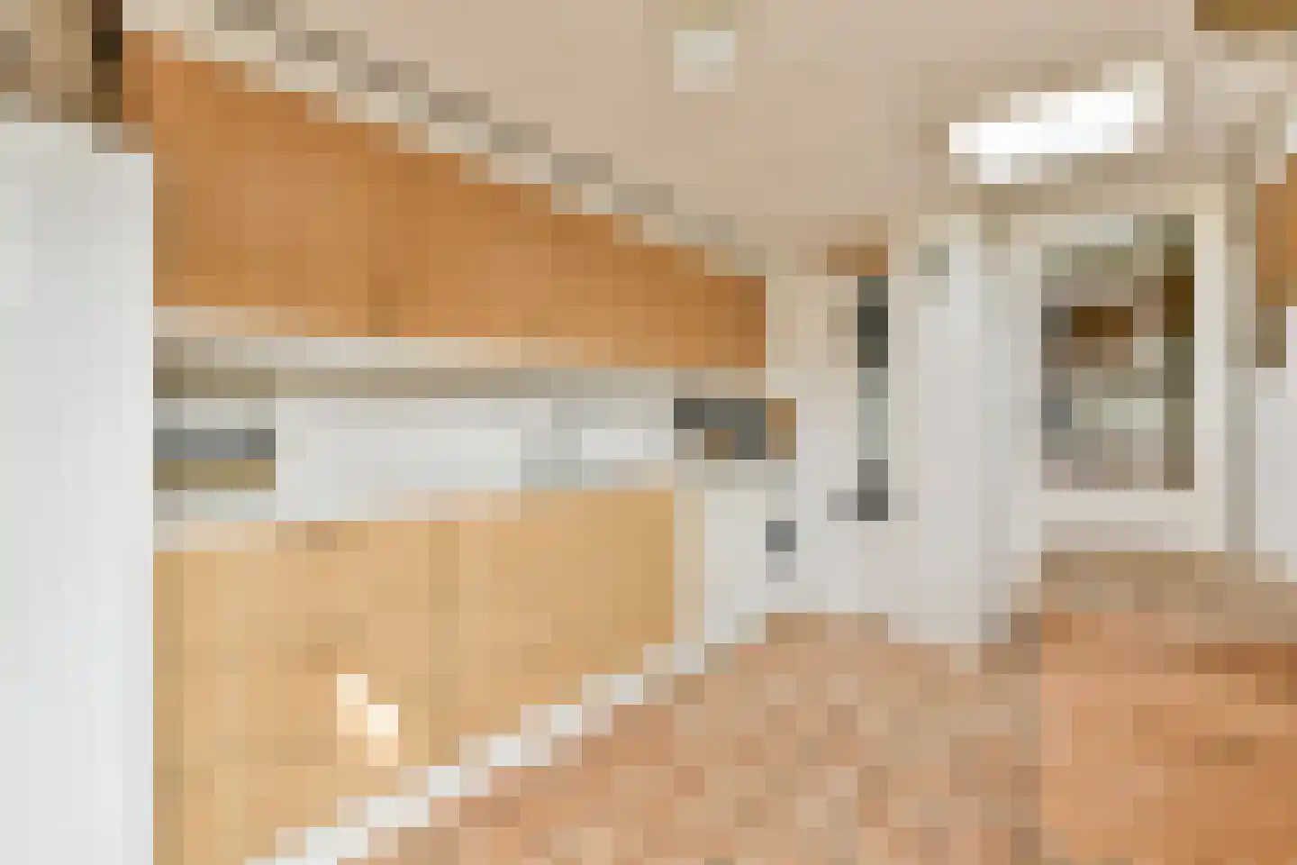 Boeierstraat 12 Rijsenhout thumbnail 12