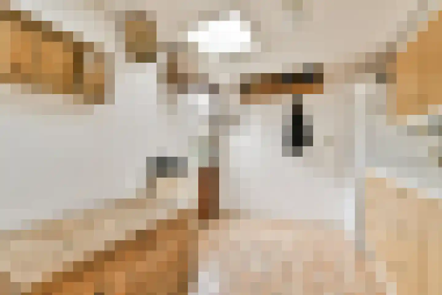 Boeierstraat 12 Rijsenhout thumbnail 13