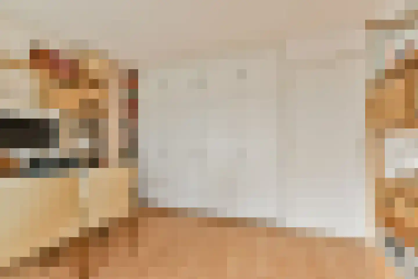 Boeierstraat 12 Rijsenhout thumbnail 18