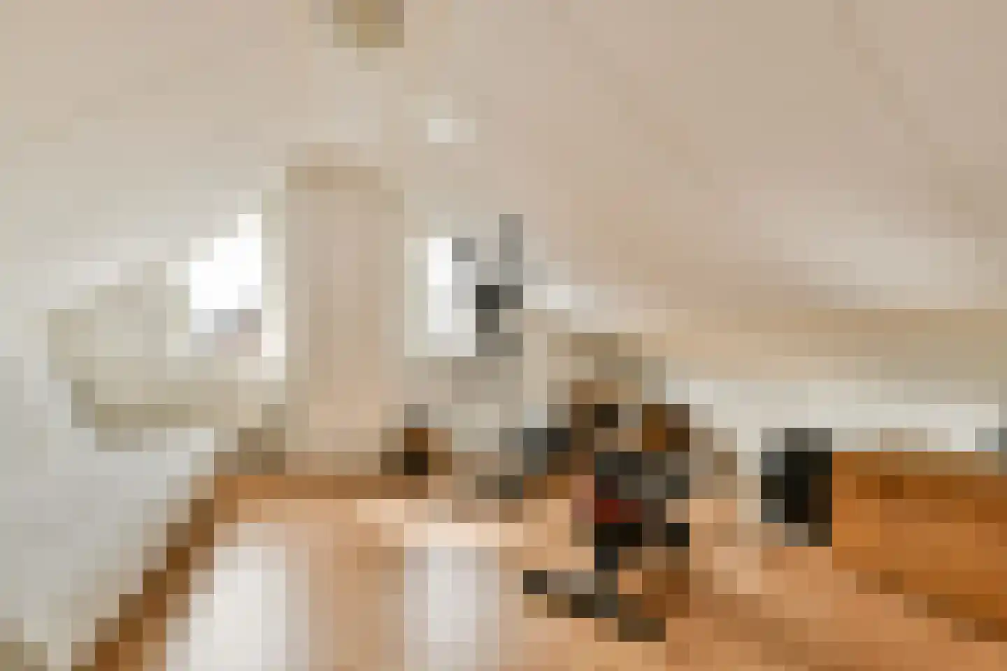 Boeierstraat 12 Rijsenhout thumbnail 25