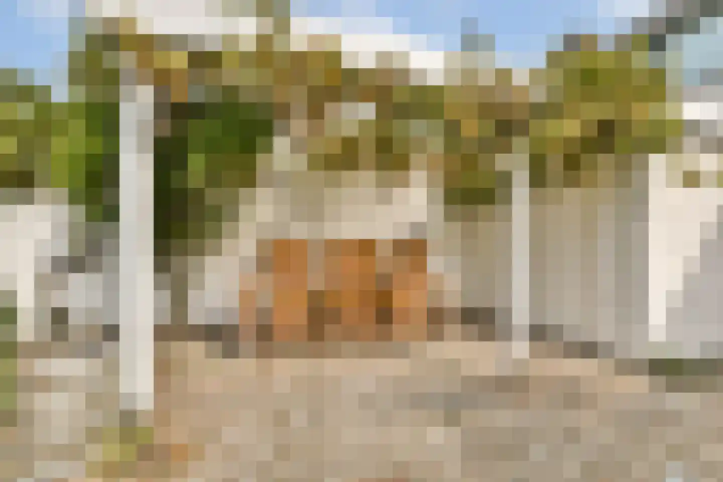 Boeierstraat 12 Rijsenhout thumbnail 29