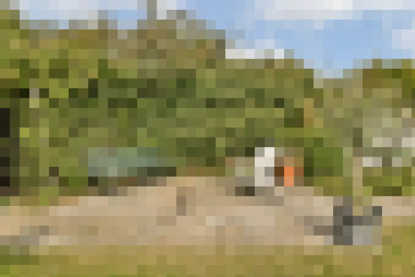 Boeierstraat 12 Rijsenhout thumbnail 30