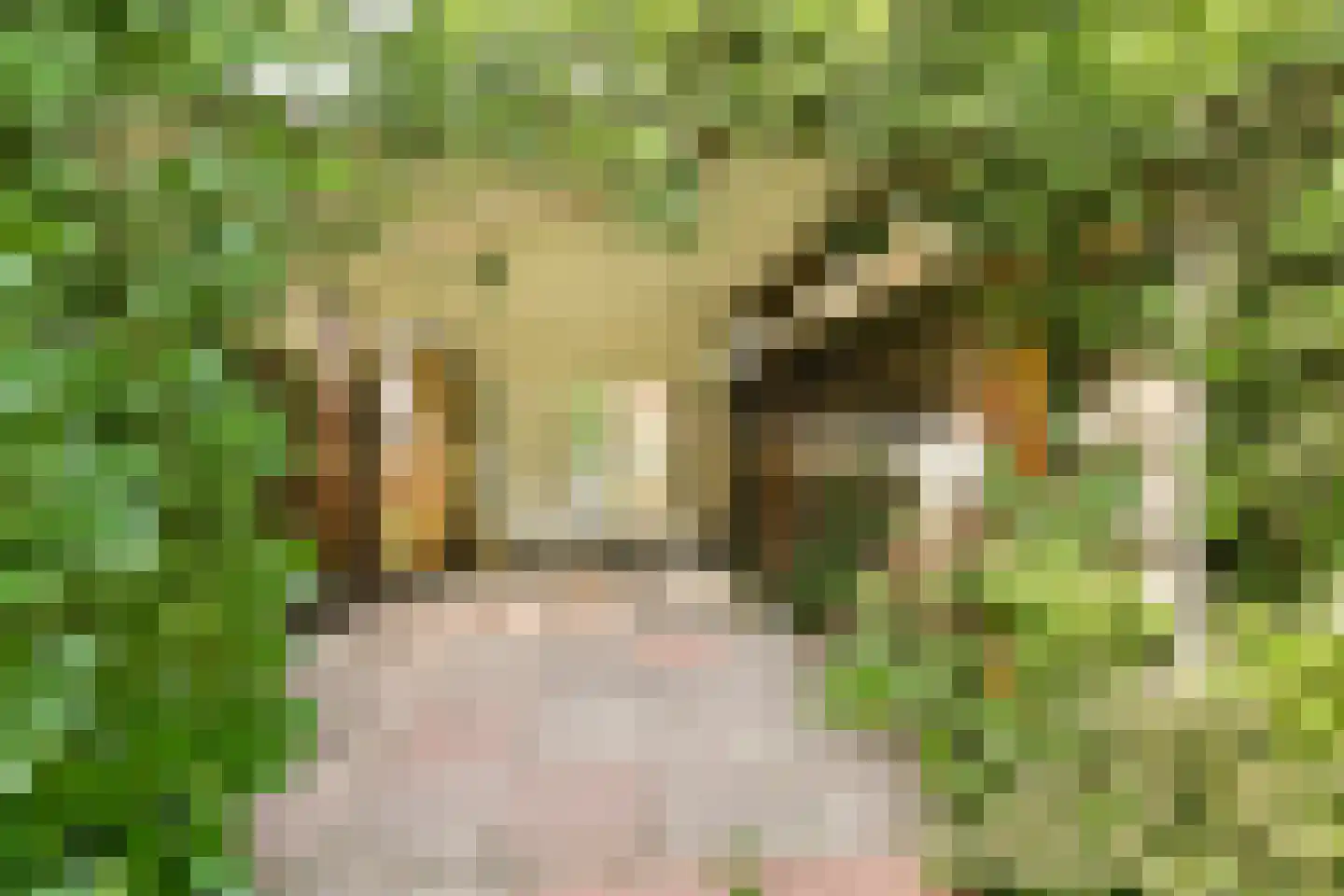 Boeierstraat 12 Rijsenhout thumbnail 31