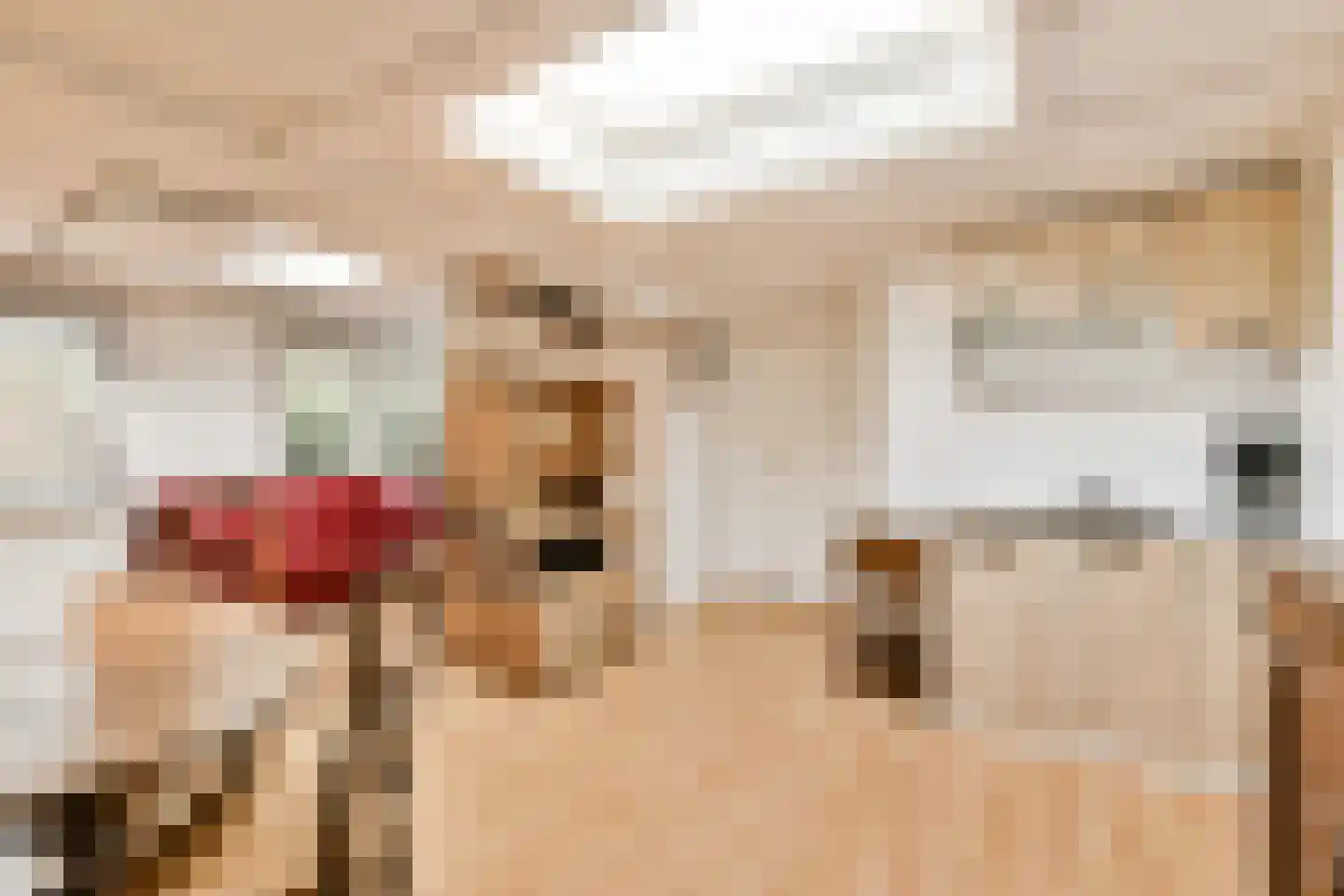 Boeierstraat 12 Rijsenhout thumbnail 32