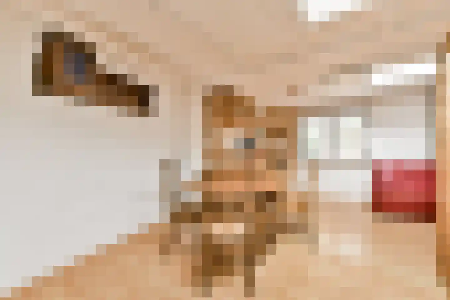 Boeierstraat 12 Rijsenhout thumbnail 33