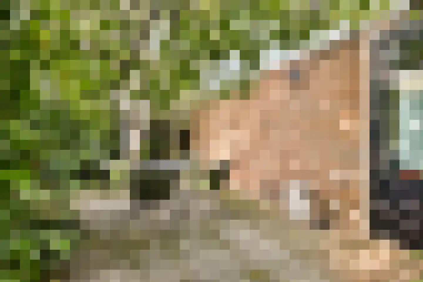 Boeierstraat 12 Rijsenhout thumbnail 38