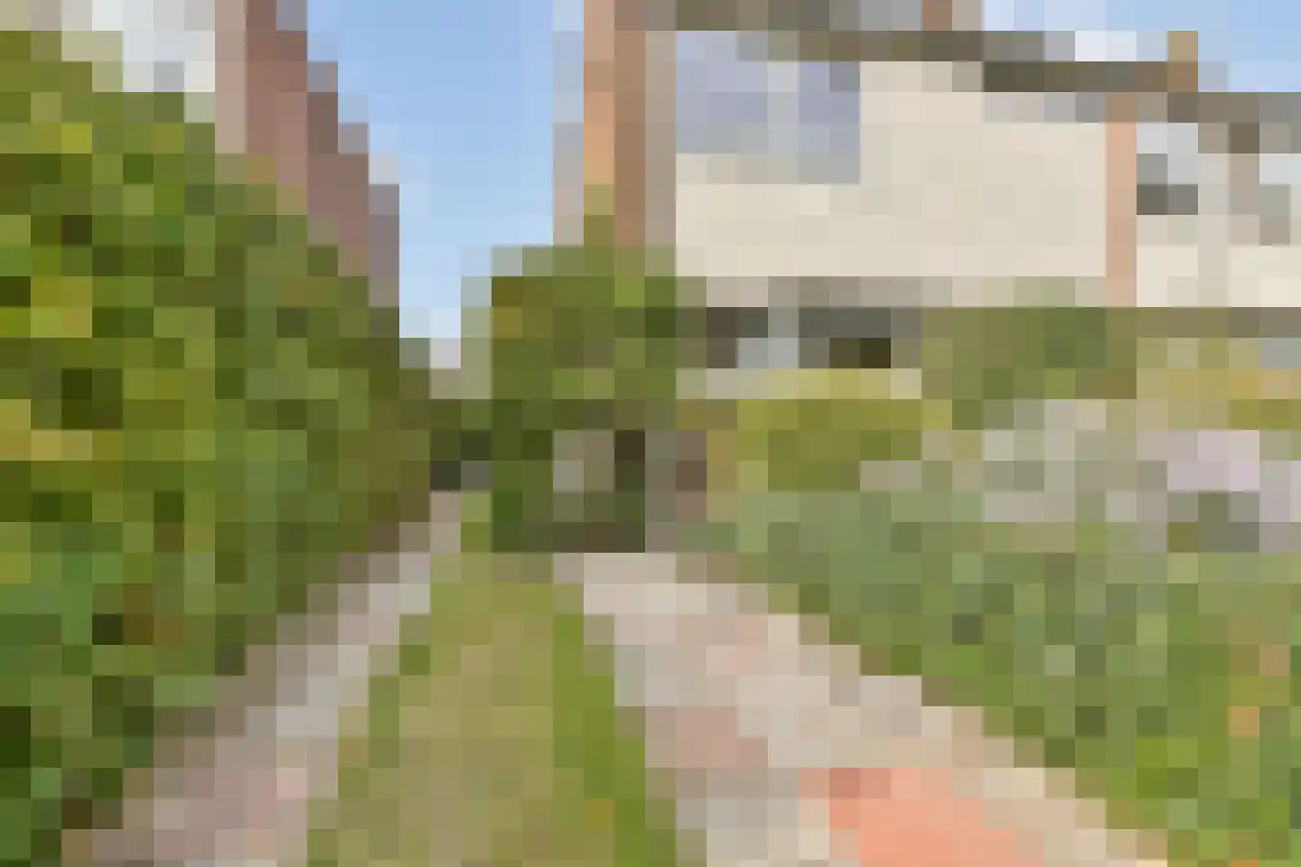 Boeierstraat 12 Rijsenhout thumbnail 41