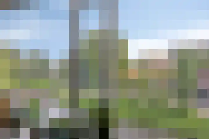 Boeierstraat 121 Purmerend thumbnail 13