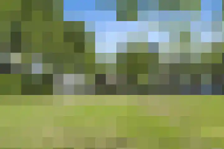 Boeierstraat 121 Purmerend thumbnail 26