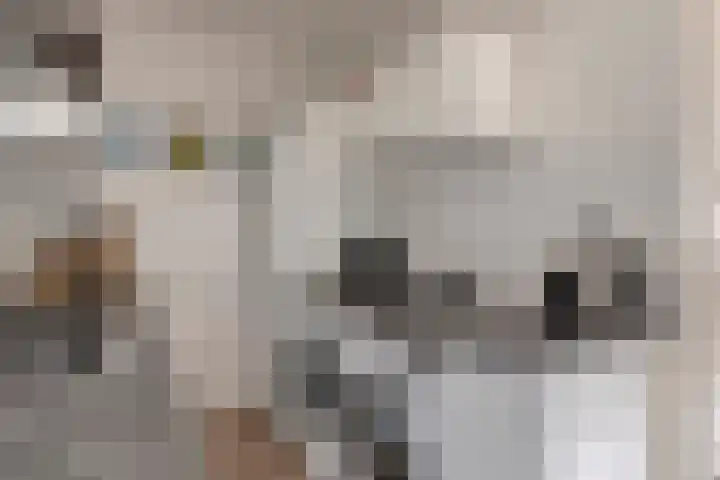 Boeierstraat 125 Purmerend thumbnail 17