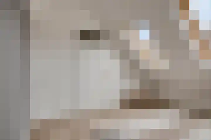 Boeierstraat 13 Alkmaar thumbnail 38