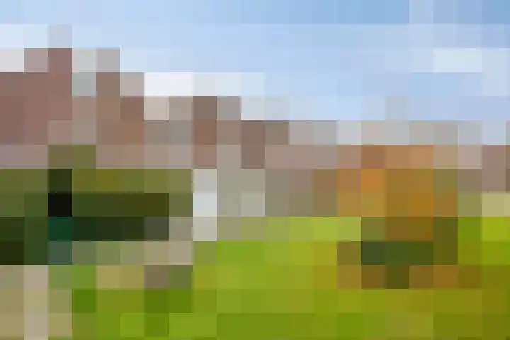 Boeierstraat 13 Alkmaar thumbnail 51