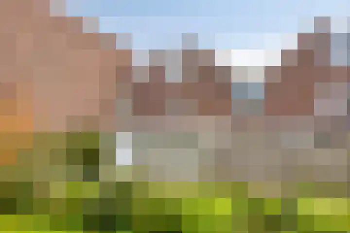 Boeierstraat 13 Alkmaar thumbnail 52