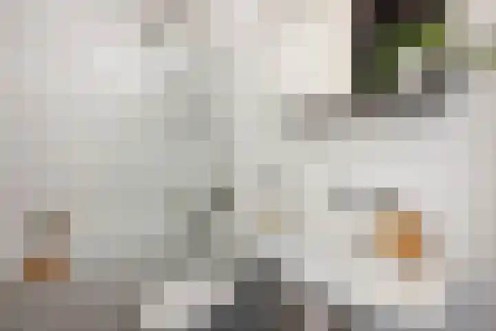 Boeierstraat 177 Purmerend thumbnail 21