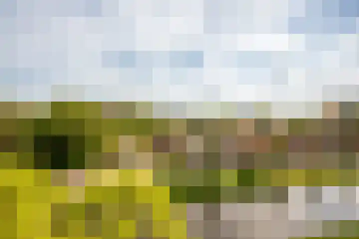 Boeierstraat 177 Purmerend thumbnail 37