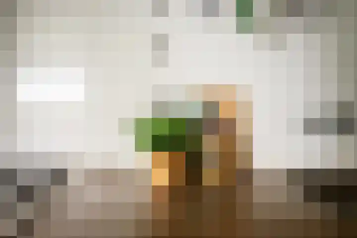 Boeierstraat 177 Purmerend thumbnail 41