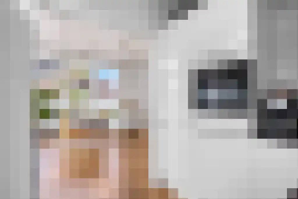 Boeierstraat 18 Sneek thumbnail 14