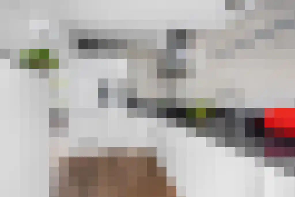 Boeierstraat 18 Sneek thumbnail 16