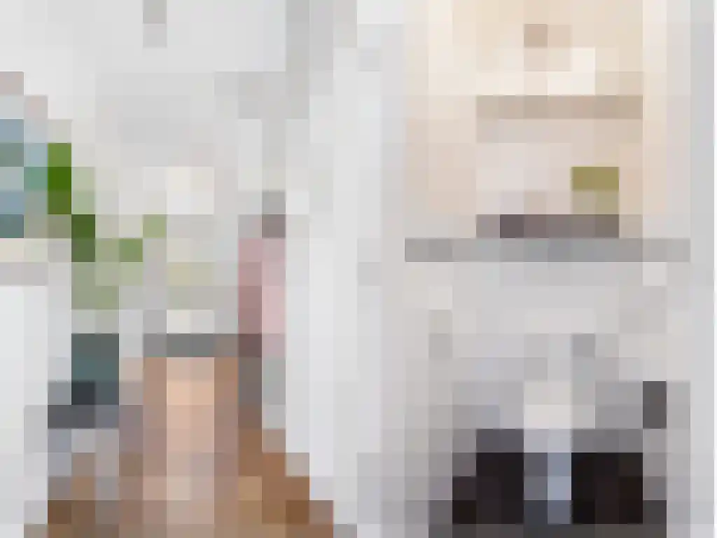 Boeierstraat 18 Sneek thumbnail 17