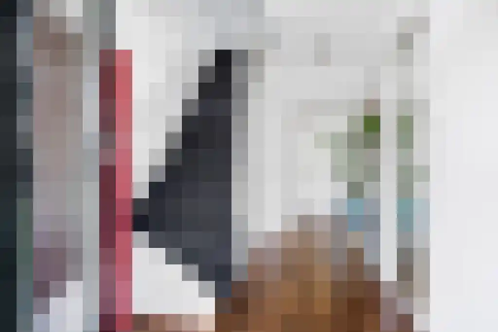 Boeierstraat 18 Sneek thumbnail 18