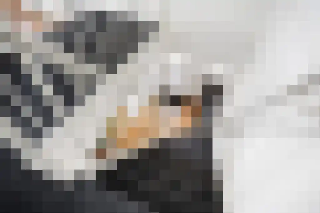 Boeierstraat 18 Sneek thumbnail 19