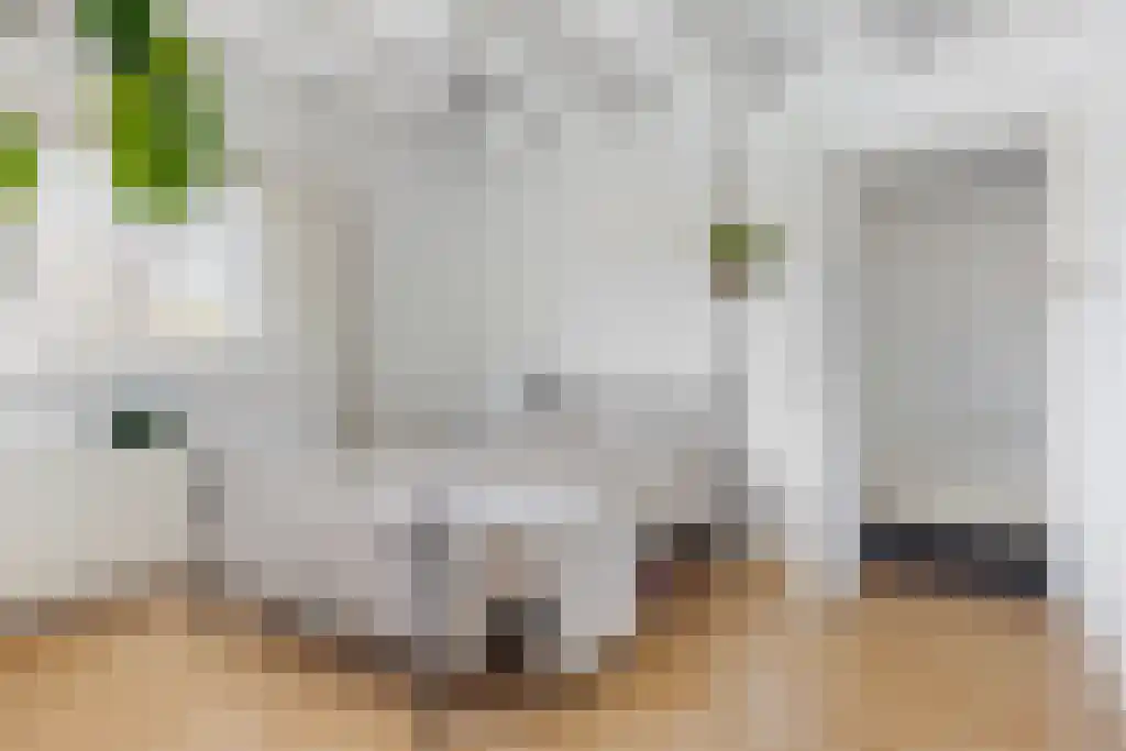 Boeierstraat 18 Sneek thumbnail 23