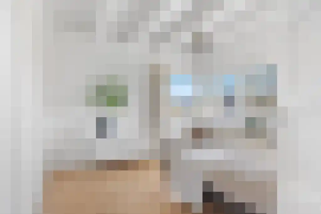 Boeierstraat 18 Sneek thumbnail 24