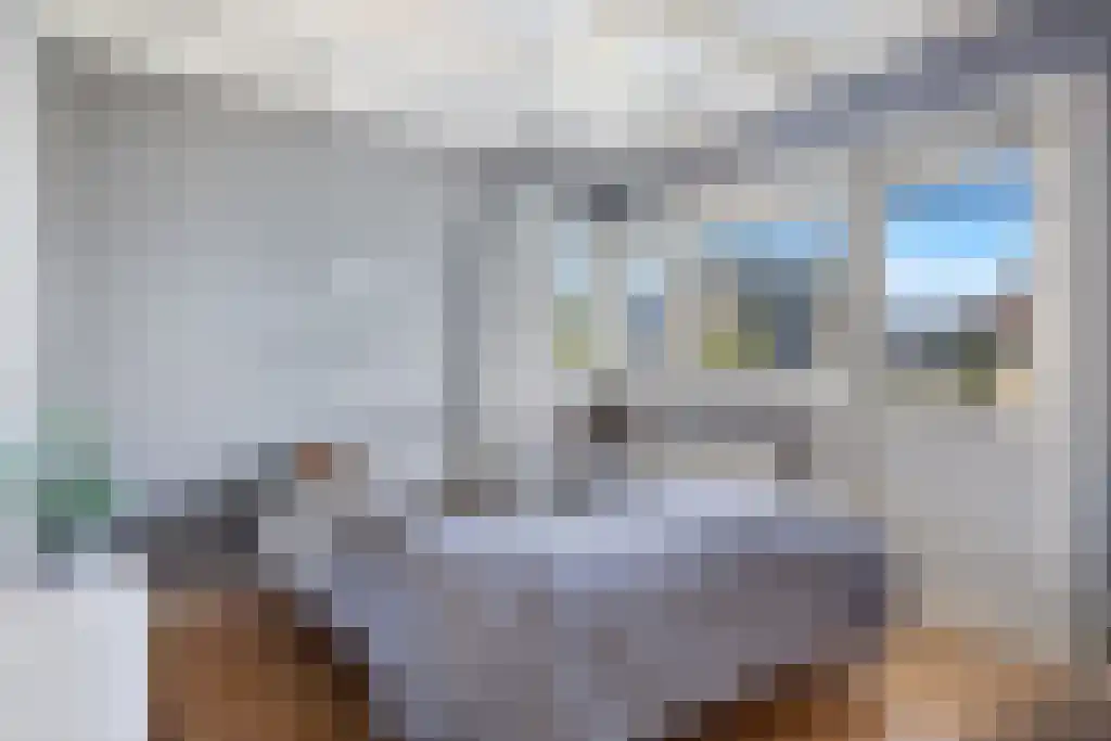 Boeierstraat 18 Sneek thumbnail 25