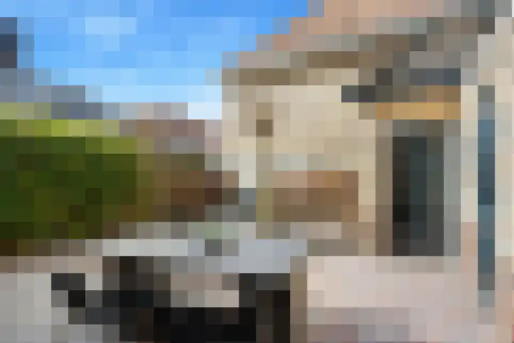Boeierstraat 18 Sneek thumbnail 38