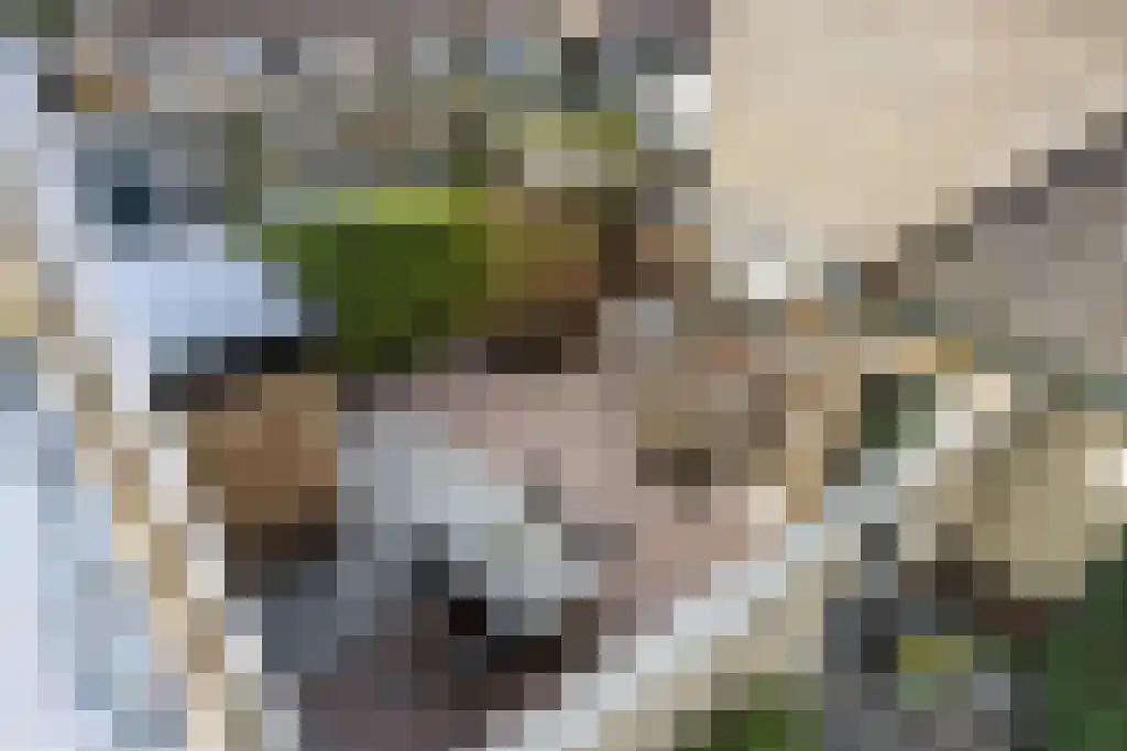 Boeierstraat 18 Sneek thumbnail 42
