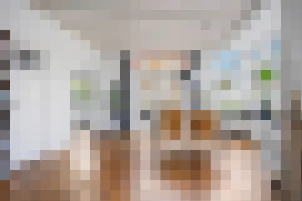 Boeierstraat 18 Sneek thumbnail 7