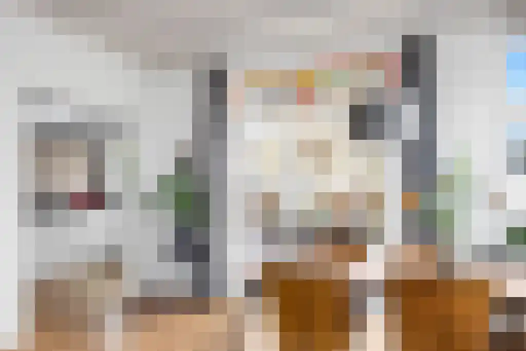 Boeierstraat 18 Sneek thumbnail 8