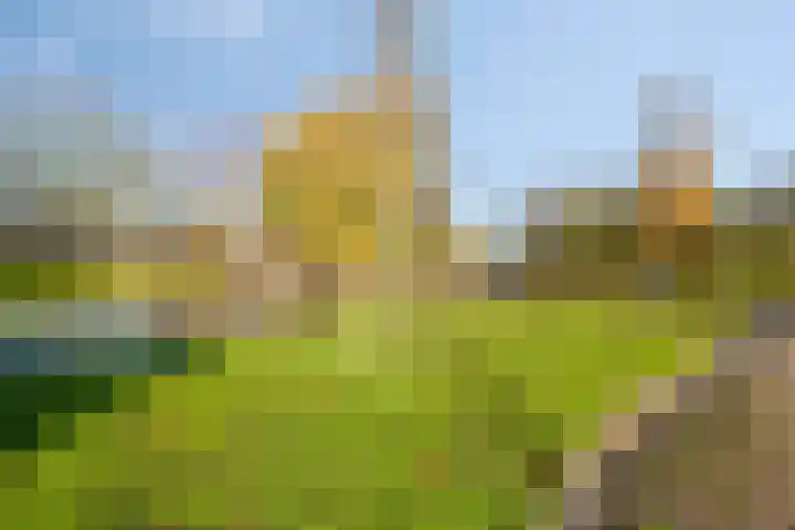 Boeierstraat 189 Purmerend thumbnail 20