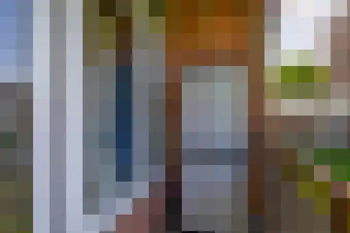 Boeierstraat 19 B Rotterdam thumbnail 24