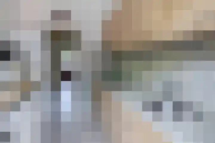 Boeierstraat 19 B Rotterdam thumbnail 4