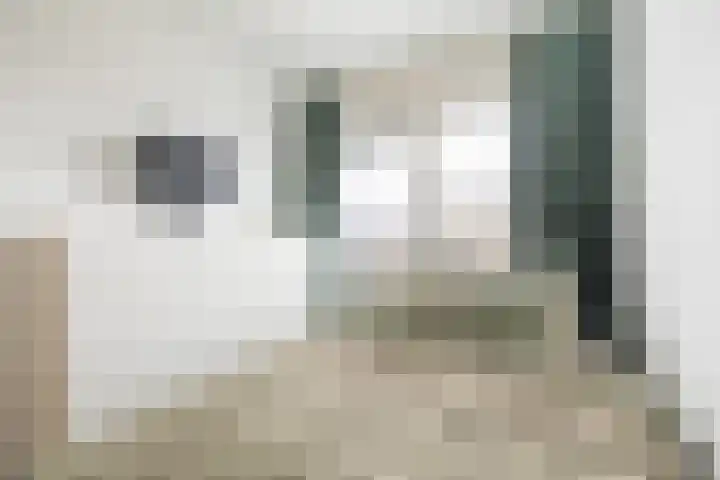 Boeierstraat 219 Purmerend thumbnail 28