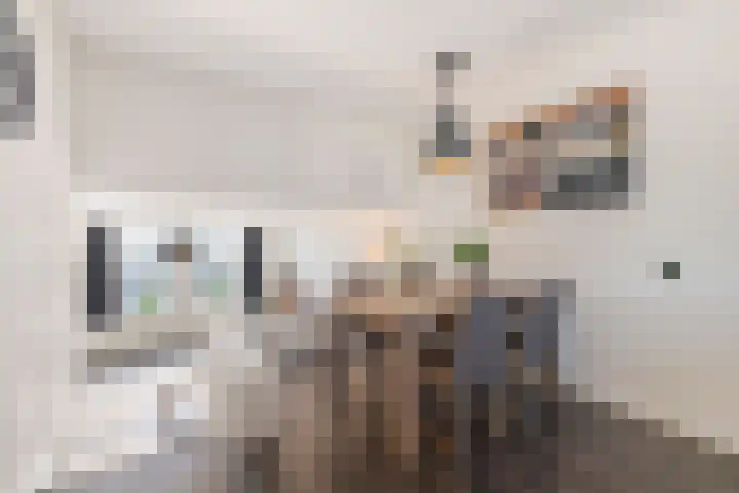 Boeierstraat 23 Alkmaar thumbnail 10