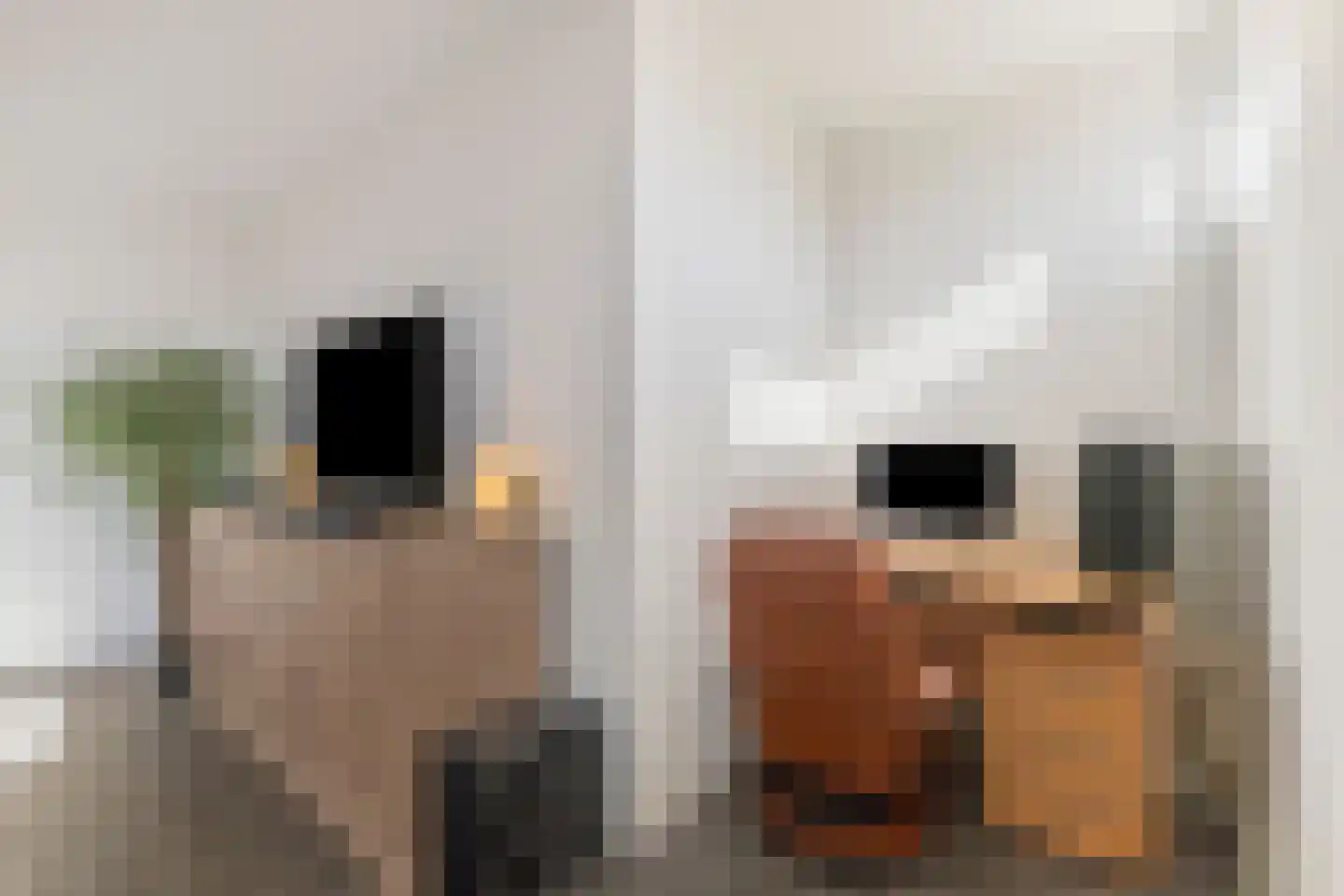 Boeierstraat 23 Alkmaar thumbnail 14