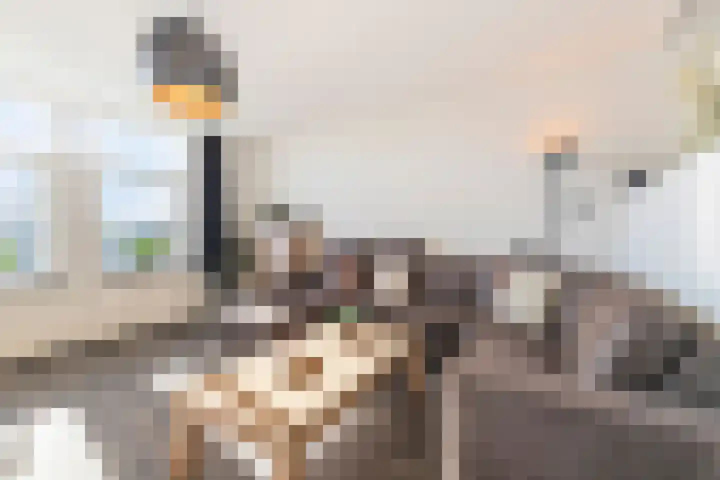 Boeierstraat 23 Alkmaar thumbnail 15