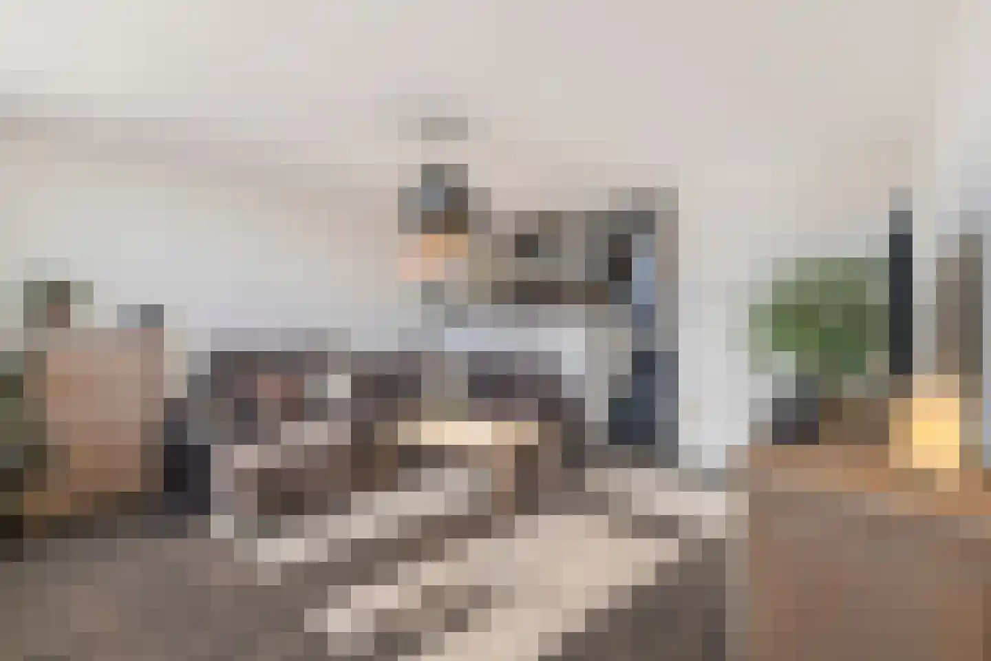 Boeierstraat 23 Alkmaar thumbnail 16