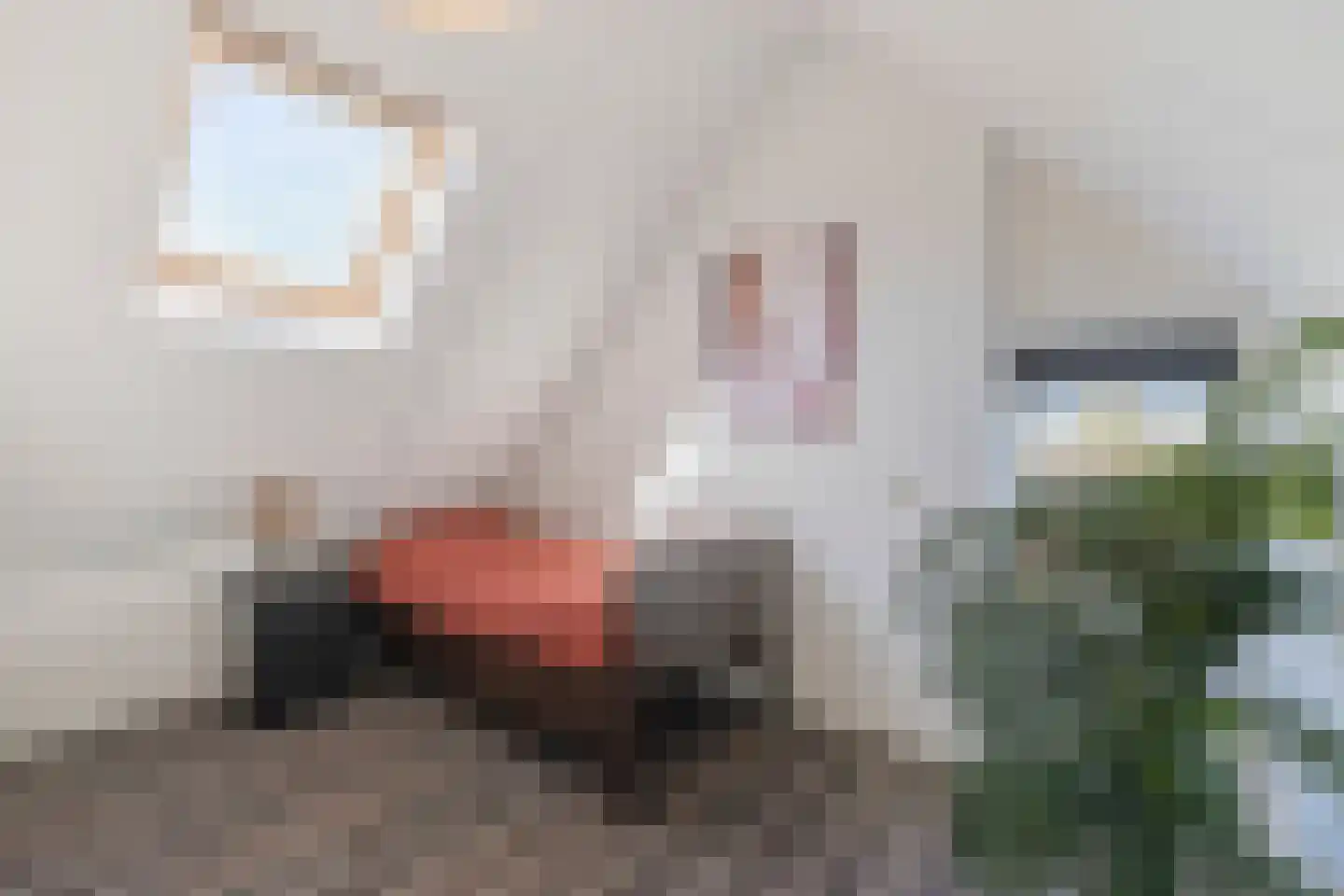 Boeierstraat 23 Alkmaar thumbnail 36