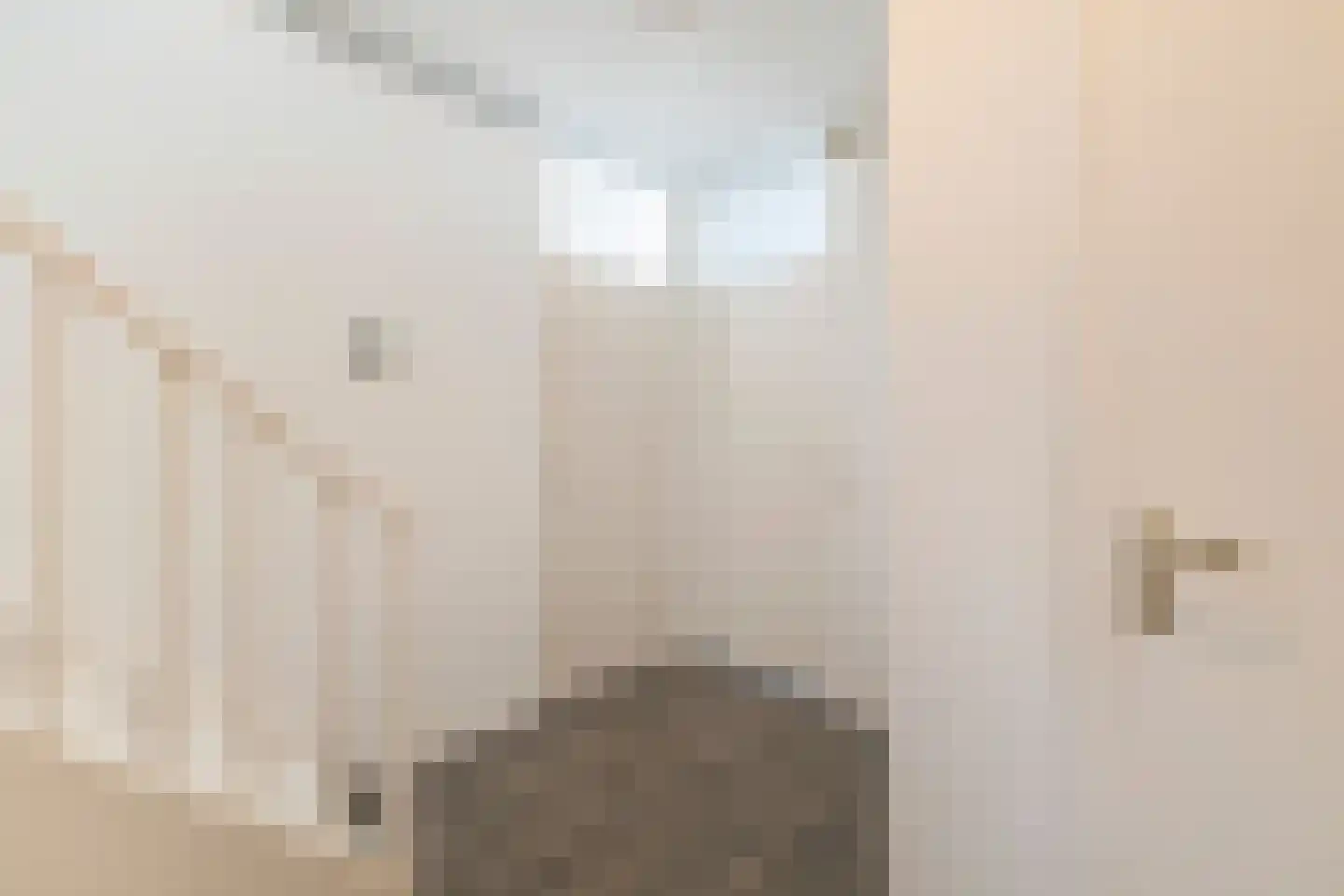 Boeierstraat 23 Alkmaar thumbnail 8