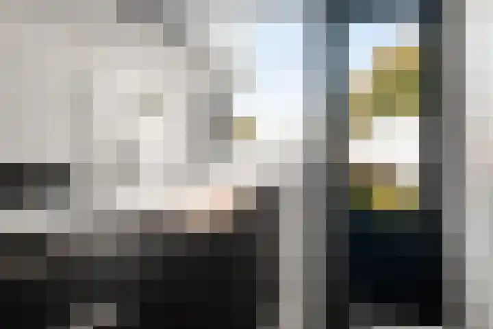 Boeierstraat 25 Alkmaar thumbnail 17