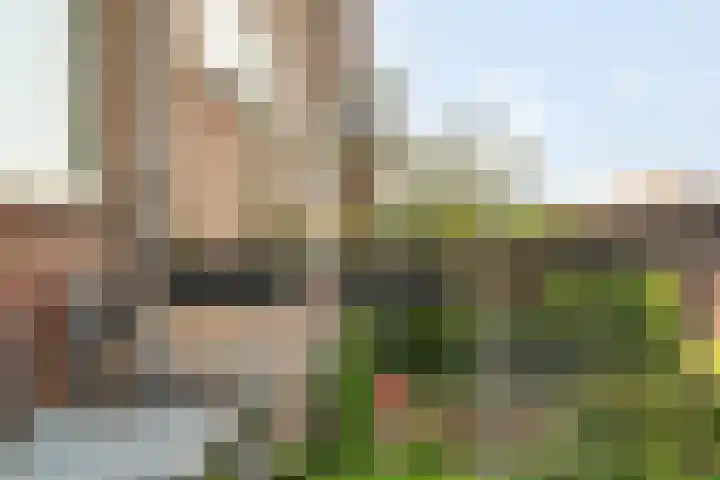 Boeierstraat 25 Alkmaar thumbnail 22