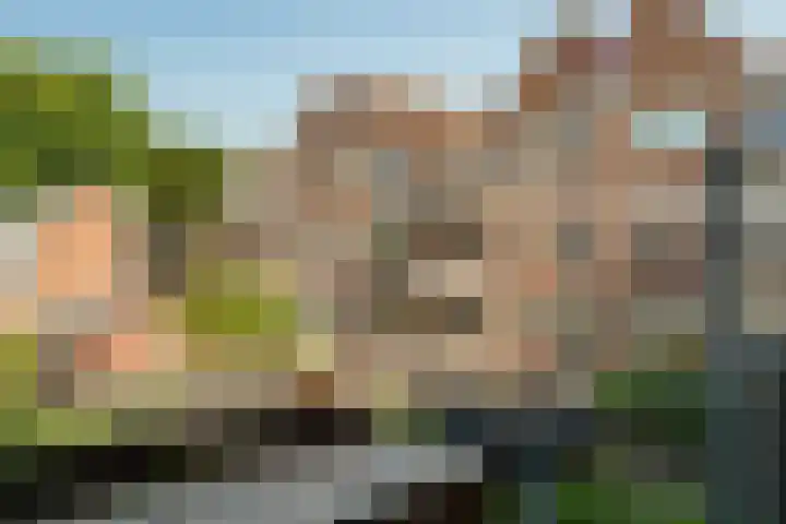 Boeierstraat 25 Alkmaar thumbnail 23