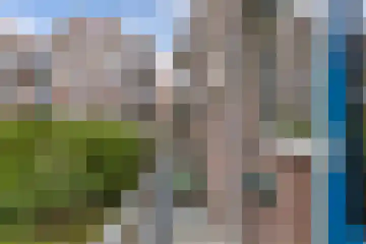 Boeierstraat 27 Alkmaar thumbnail 17