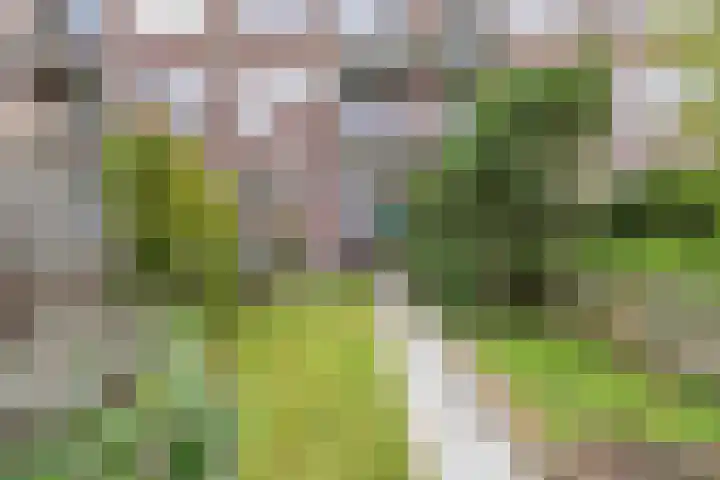 Boeierstraat 27 Alkmaar thumbnail 22
