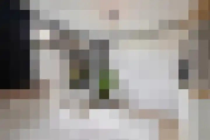 Boeierstraat 27 Alkmaar thumbnail 24