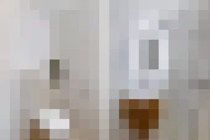 Boeierstraat 27 Alkmaar thumbnail 4